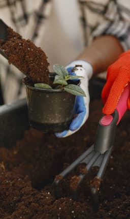 48 Vasi Biodegradabili In Cellulosa - Senza Torba | Per Semi E Piante | Meister - Foto 9