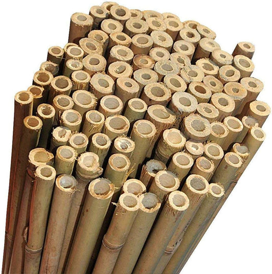 Canne di Bamboo per il Sostegno di Ortaggi e Piante