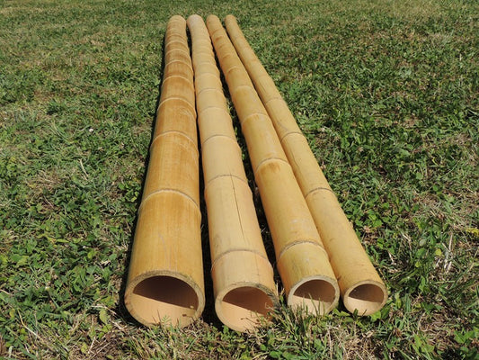 Canne di Bamboo Gigante per l'Arredamento