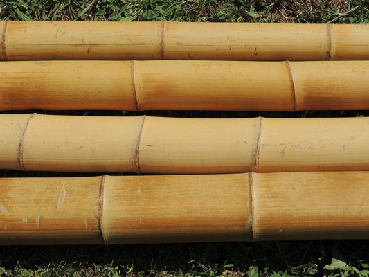 Canne di Bamboo Gigante per l'Arredamento